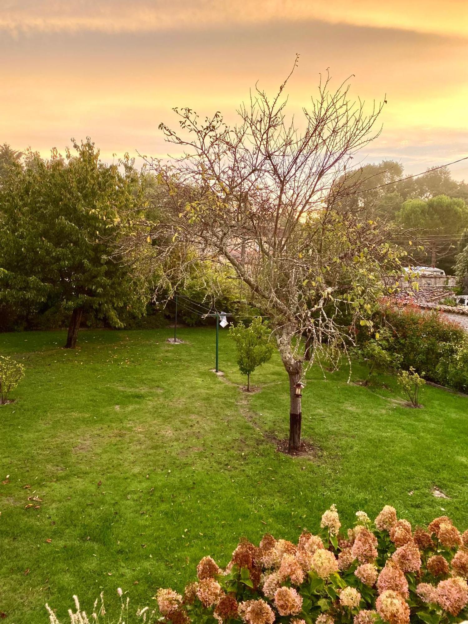 Aux Agapanthes, Chambres D'Hotes Charentaises De Charme Avec Piscine Aumagne Εξωτερικό φωτογραφία